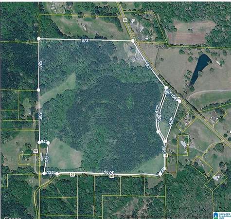 40 Acres of Recreational & Residential Land for Sale in Hanceville, Alabama