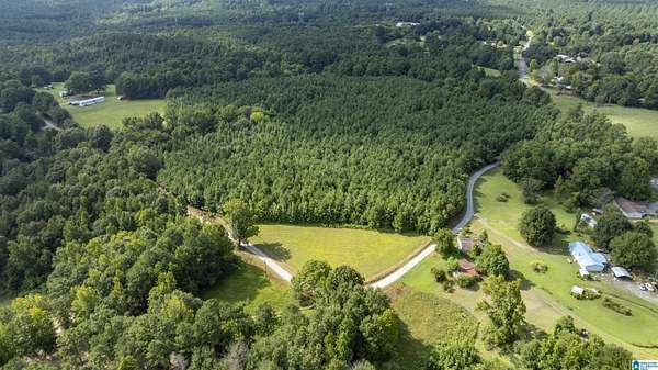 40 Acres of Recreational & Residential Land for Sale in Hanceville, Alabama