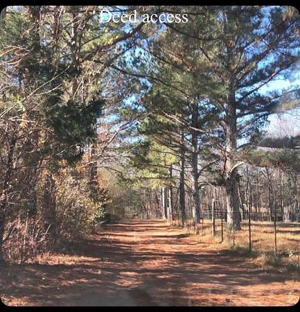 30 Acres of Land for Sale in Lewisburg, Tennessee