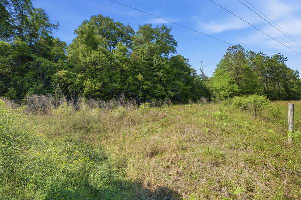 12.3 Acres of Recreational & Residential Land for Sale in Baker, Florida