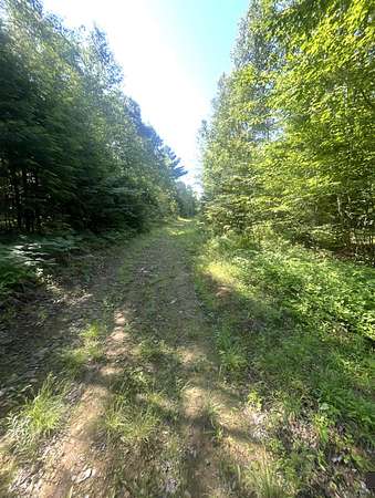 21.3 Acres of Recreational Land for Sale in Lagrange, Maine