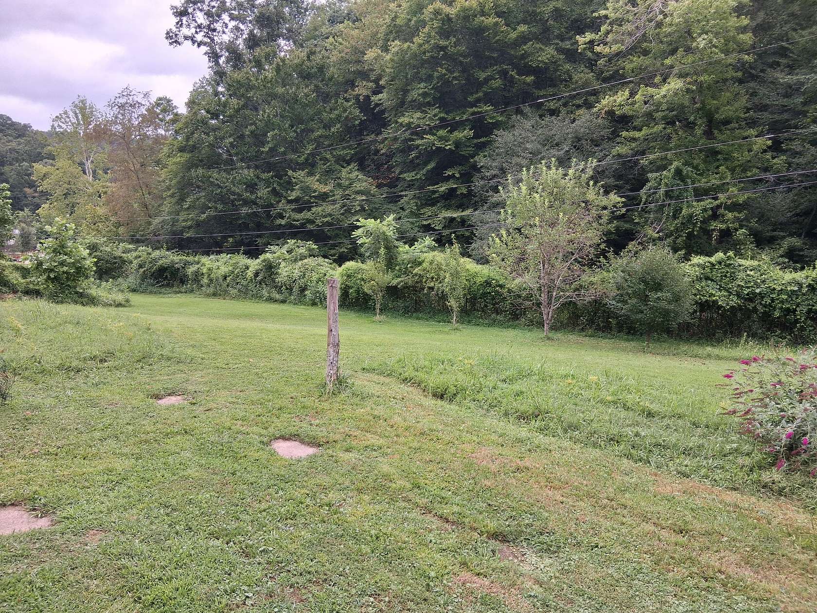 2 Acres of Improved Residential Land for Sale in Sumerco, West Virginia