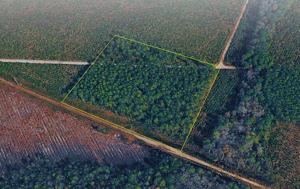 10 Acres of Land for Sale in Green Cove Springs, Florida