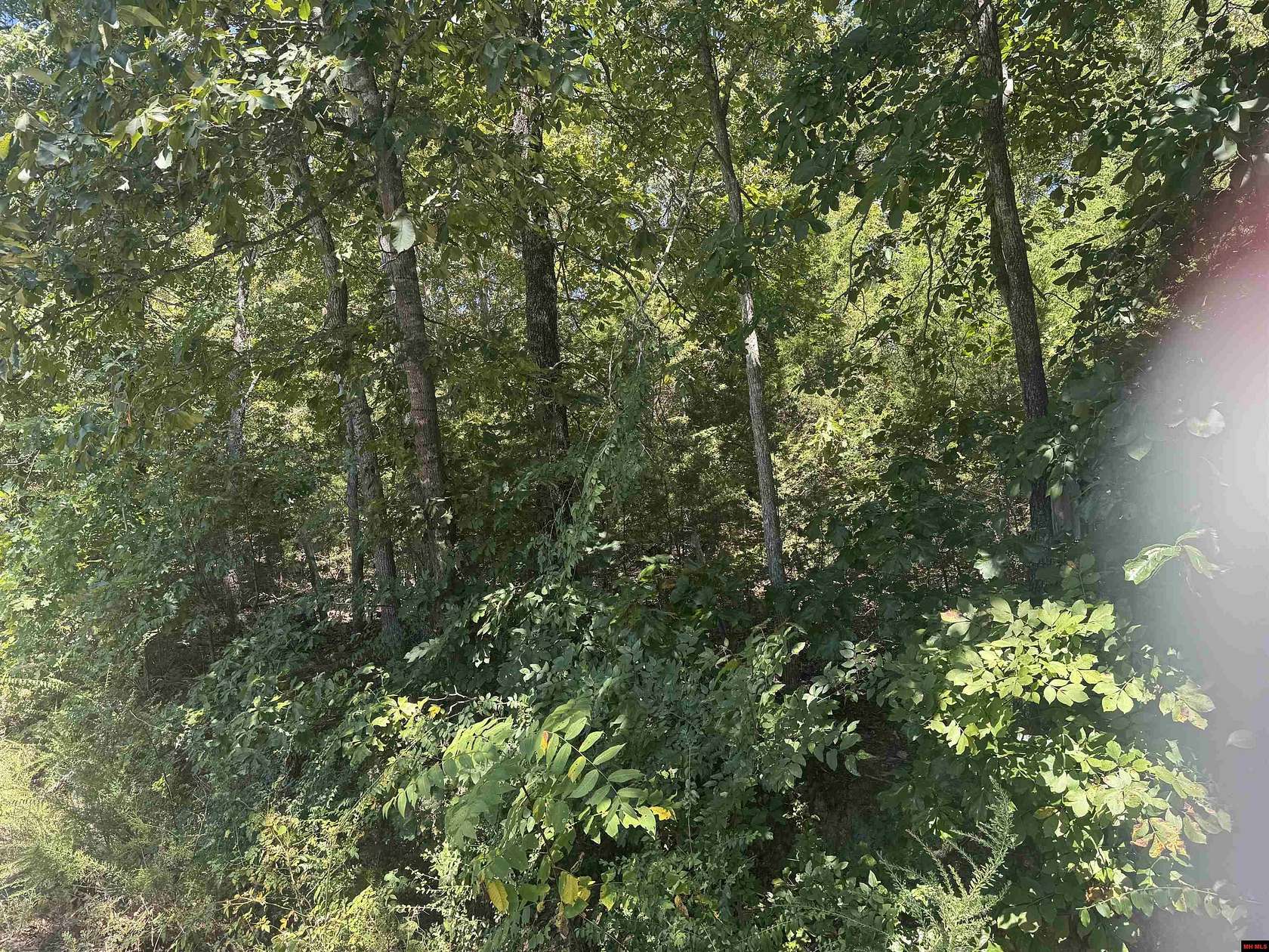 Land for Sale in Bull Shoals, Arkansas