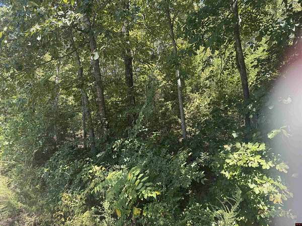 Land for Sale in Bull Shoals, Arkansas