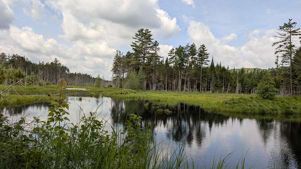 4,229 Acres of Recreational Land for Sale in Long Lake, New York