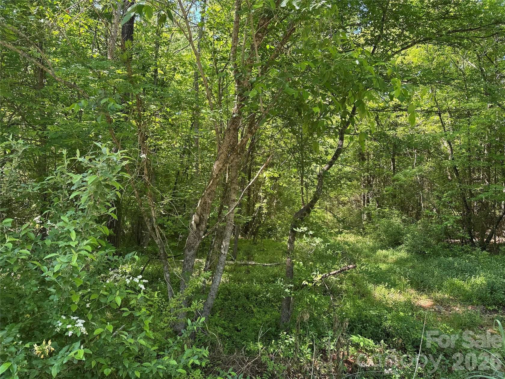 0.32 Acres of Residential Land for Sale in Rock Hill, South Carolina