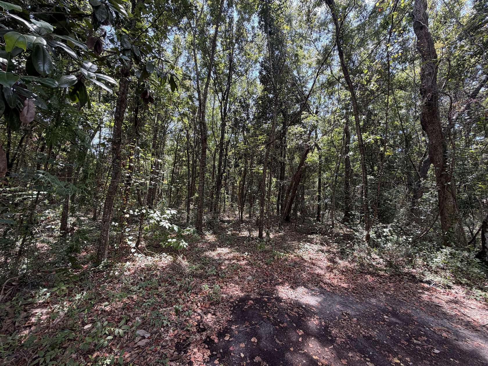0.92 Acres of Residential Land for Sale in Ocean Springs, Mississippi