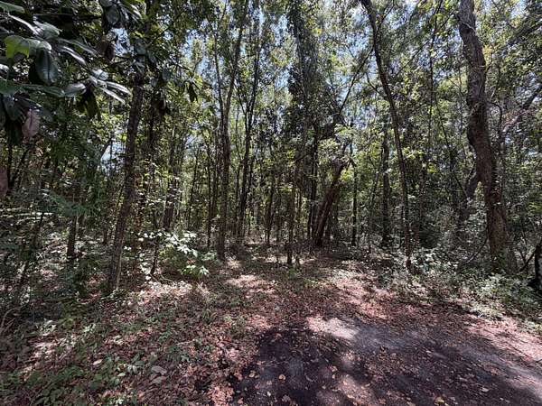 0.92 Acres of Residential Land for Sale in Ocean Springs, Mississippi