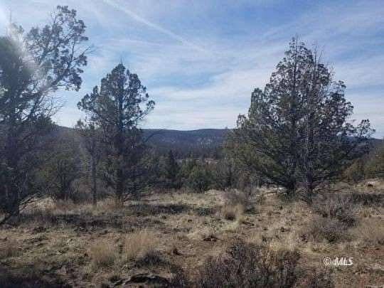 4.33 Acres of Residential Land for Sale in Alturas, California