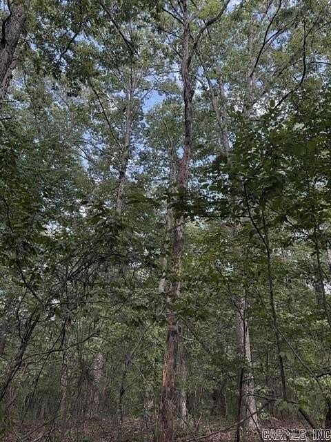 78 Acres of Recreational Land for Sale in Ozone, Arkansas