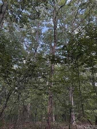 78 Acres of Recreational Land for Sale in Ozone, Arkansas