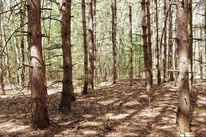 0.9 Acres of Residential Land for Sale in Mecosta, Michigan
