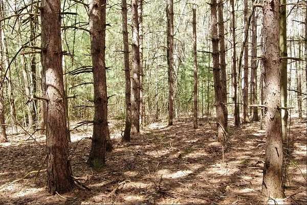 0.9 Acres of Residential Land for Sale in Mecosta, Michigan