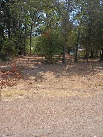 0.13 Acres of Residential Land for Sale in Mabank, Texas