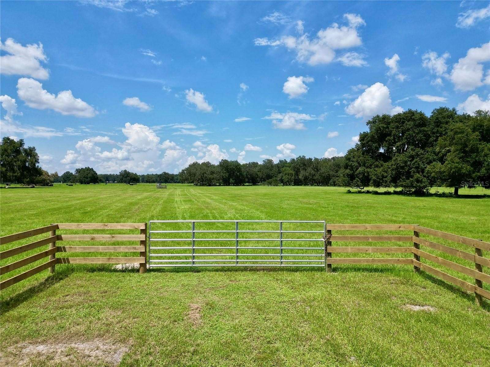 10 Acres of Land for Sale in Webster, Florida
