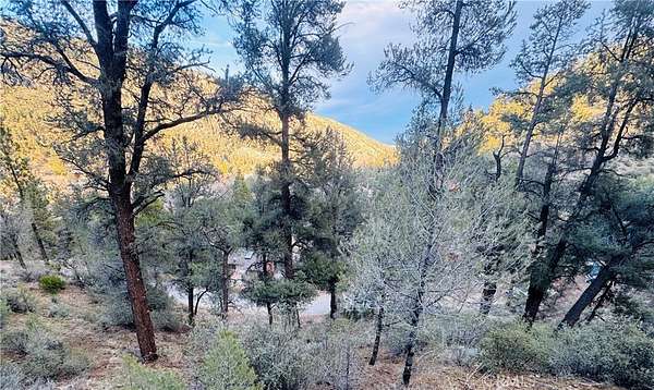 0.1 Acres of Land for Sale in Frazier Park, California