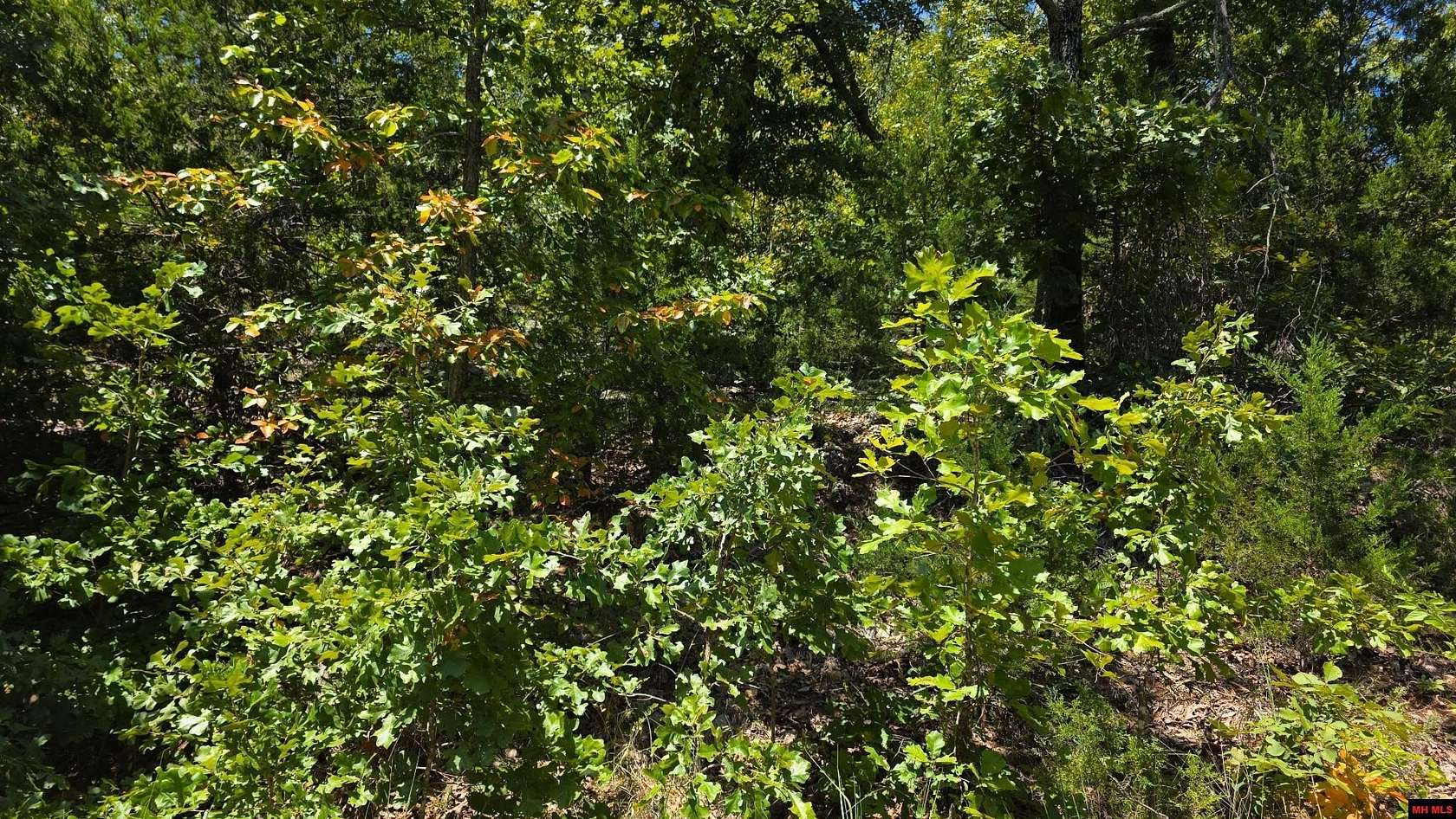 Residential Land for Sale in Bull Shoals, Arkansas