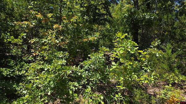 Residential Land for Sale in Bull Shoals, Arkansas