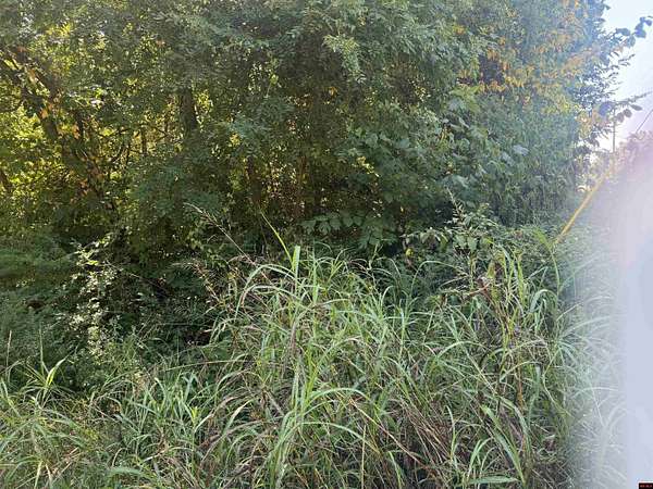 Land for Sale in Bull Shoals, Arkansas