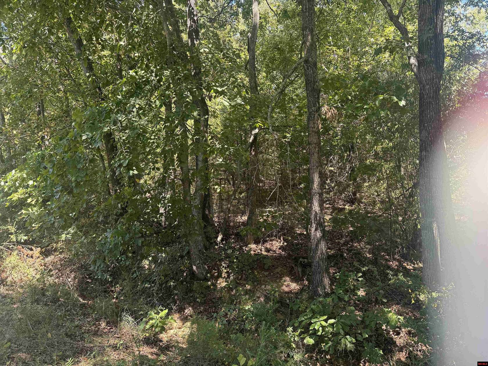 Land for Sale in Bull Shoals, Arkansas