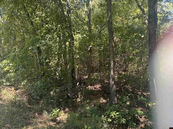 Land for Sale in Bull Shoals, Arkansas