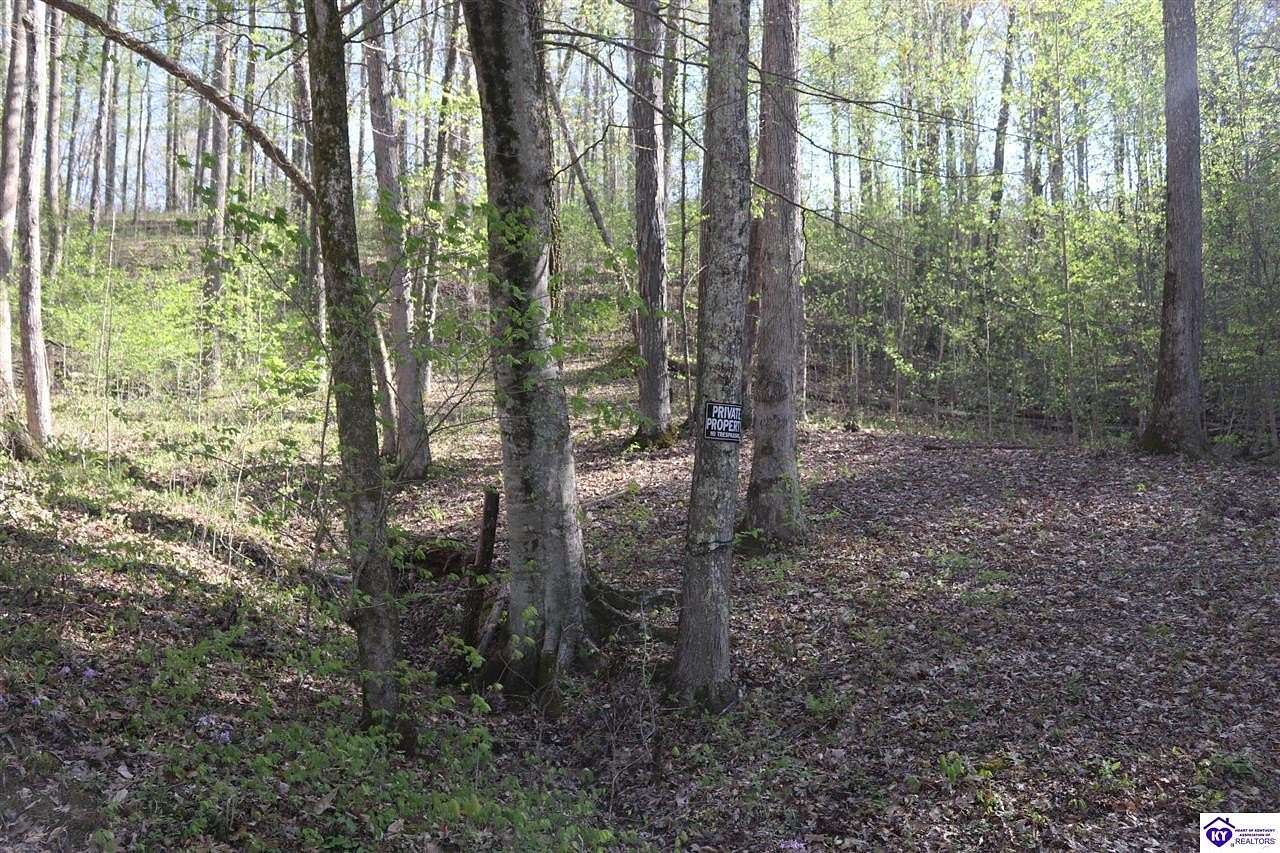 1 Acre of Land for Sale in Bee Spring, Kentucky
