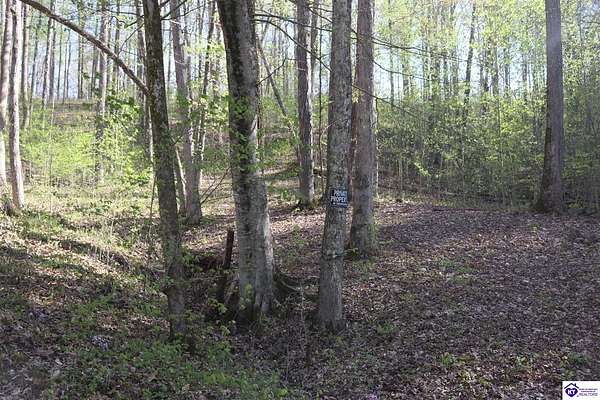 1 Acre of Land for Sale in Bee Spring, Kentucky