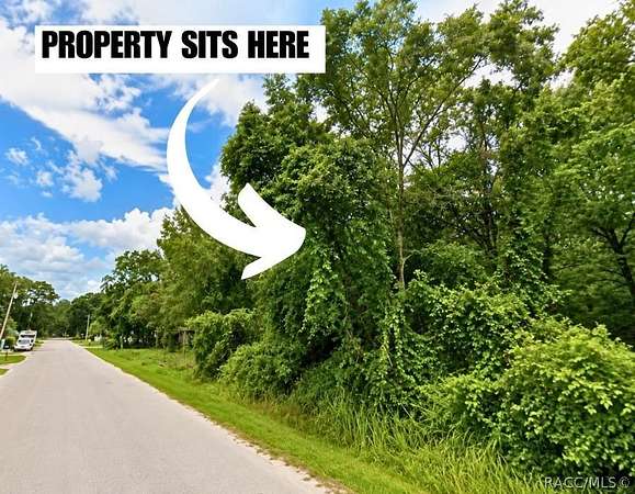 0.27 Acres of Residential Land for Sale in New Port Richey, Florida