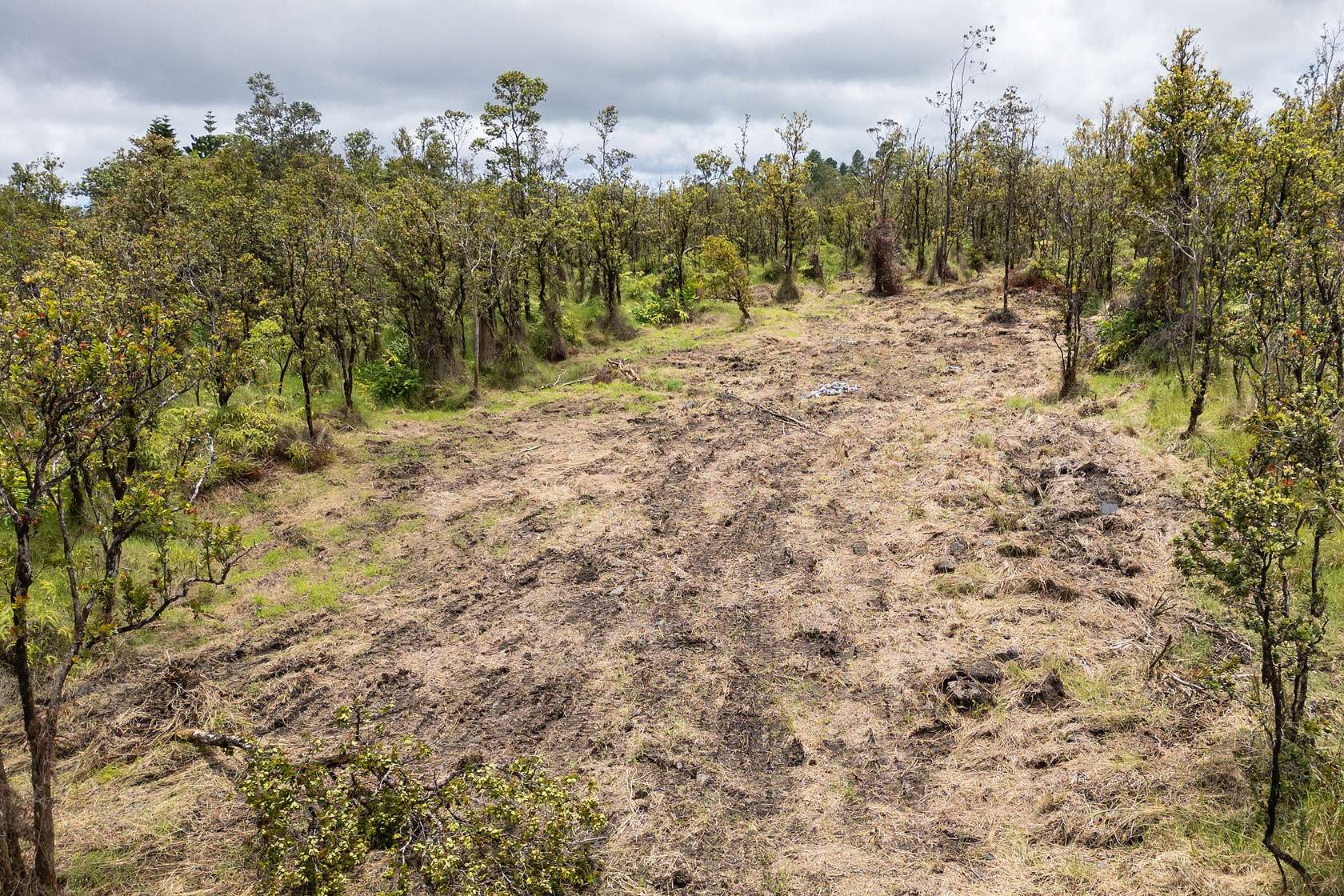 3 Acres of Land for Sale in Volcano, Hawaii