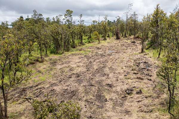 3 Acres of Land for Sale in Volcano, Hawaii