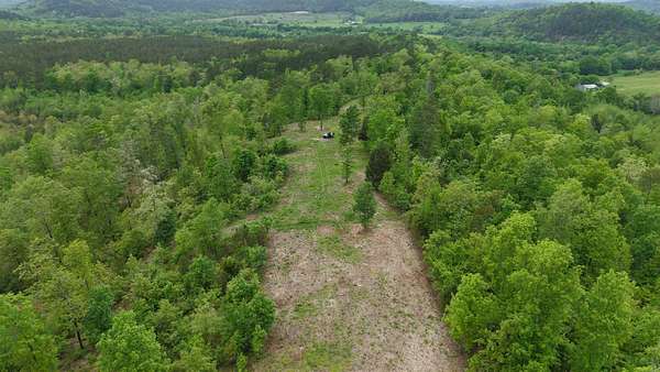 54 Acres of Recreational & Residential Land for Sale in Oden, Arkansas
