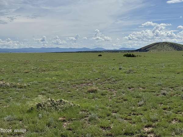 2 Acres of Land for Sale in Concho, Arizona