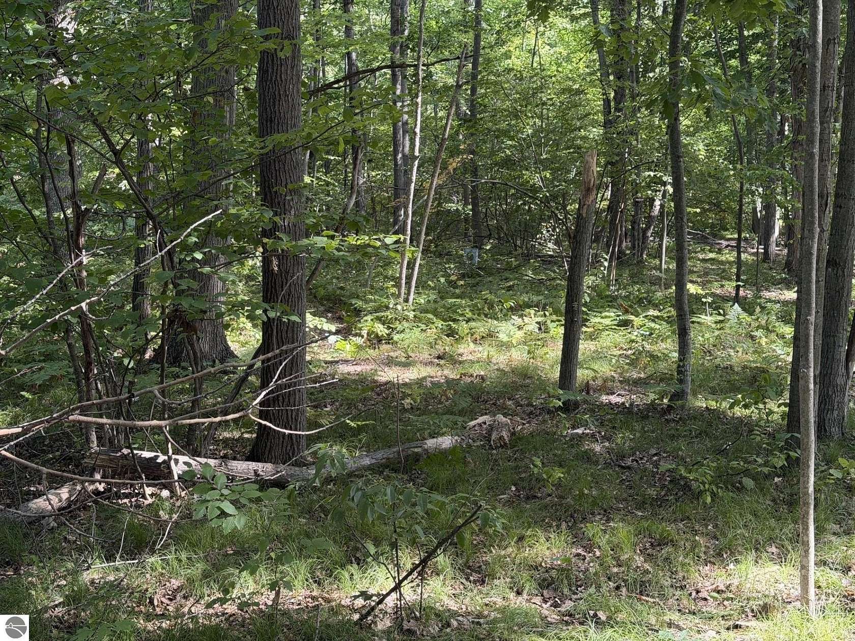 0.34 Acres of Land for Sale in Weidman, Michigan