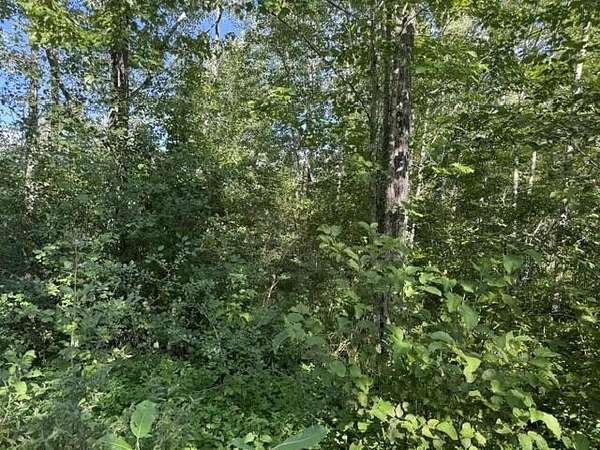 19 Acres of Recreational & Residential Land for Sale in Hudson, Maine