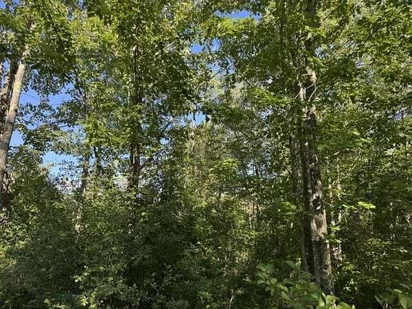 4 Acres of Residential Land for Sale in Hudson, Maine