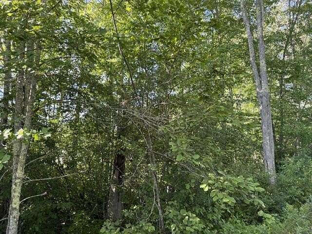 87 Acres of Recreational & Residential Land for Sale in Bradford, Maine