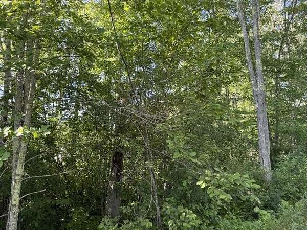 87 Acres of Recreational & Residential Land for Sale in Bradford, Maine