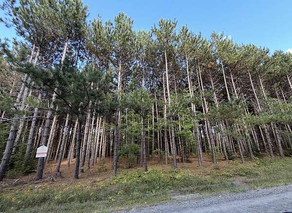 87 Acres of Recreational & Residential Land for Sale in Bradford, Maine