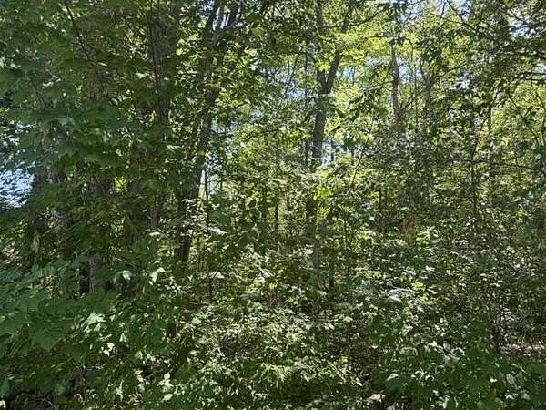 48 Acres of Recreational & Residential Land for Sale in Bradford, Maine