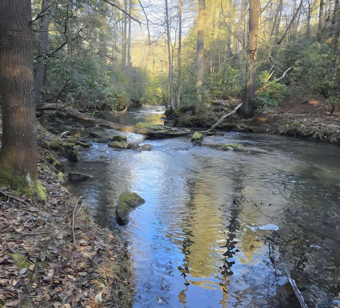 10 Acres of Recreational & Residential Land for Sale in Dayton, Tennessee