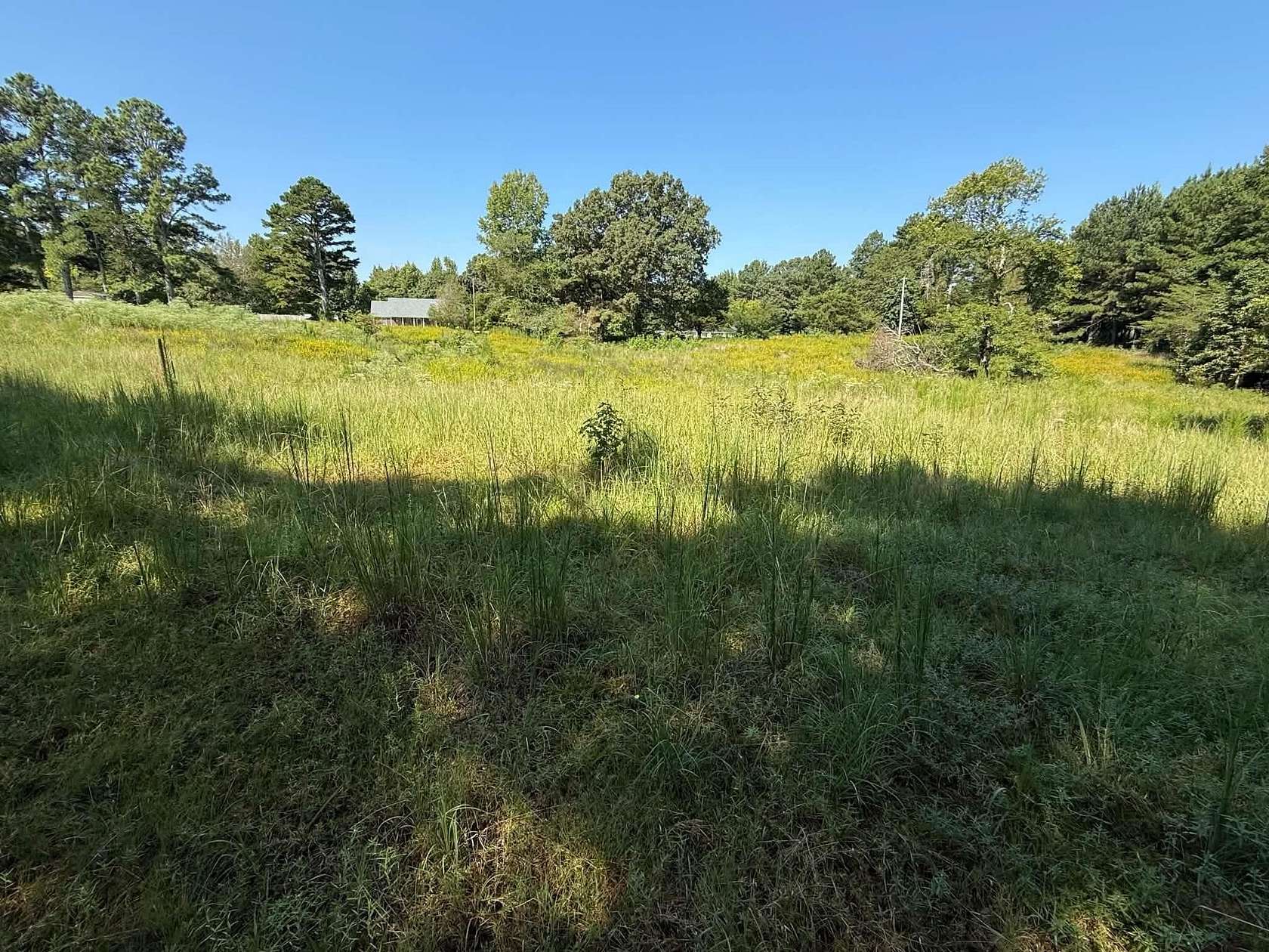 13.1 Acres of Land for Sale in Florence, Alabama