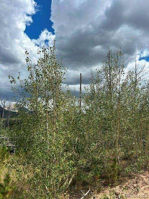 2 Acres of Residential Land for Sale in La Veta, Colorado