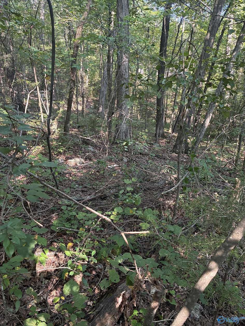 1 Acre of Land for Sale in Falkville, Alabama
