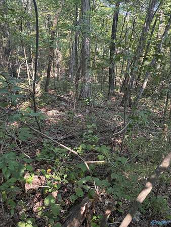1 Acre of Land for Sale in Falkville, Alabama