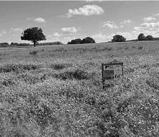 10 Acres of Residential Land for Sale in Chico, Texas