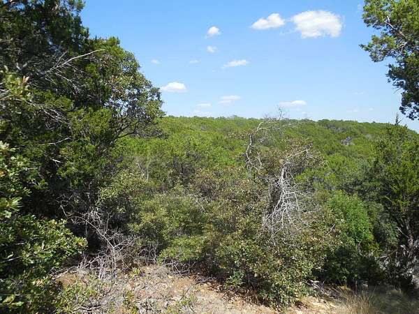 152 Acres of Land for Sale in Ranger, Texas