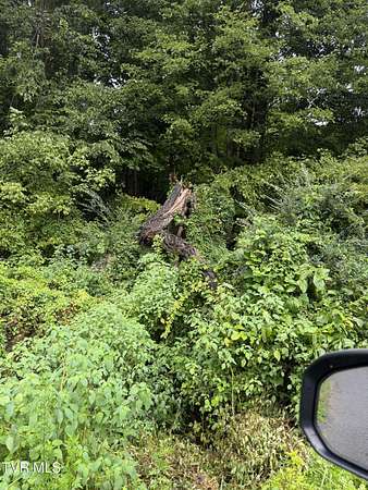 0.69 Acres of Residential Land for Sale in Unicoi, Tennessee