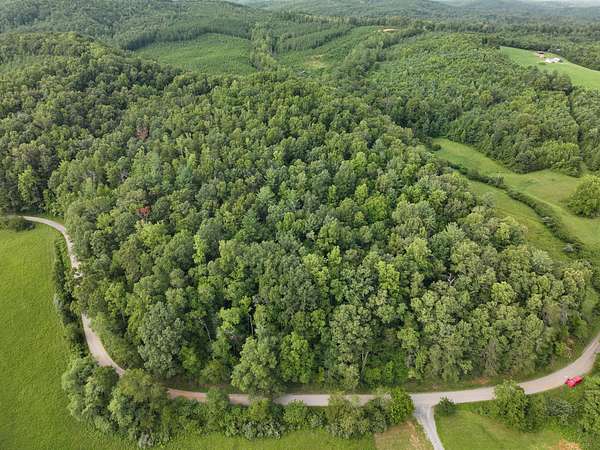 25 Acres of Land for Sale in Woolwine, Virginia