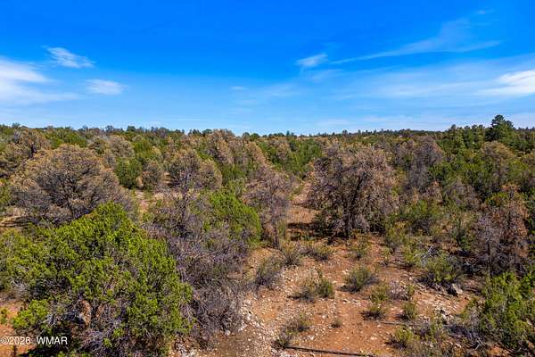 2.6 Acres of Residential Land for Sale in Overgaard, Arizona